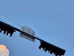 여름에 靑春을 말리며