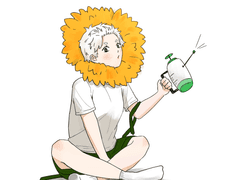 복숭아와 카스테라