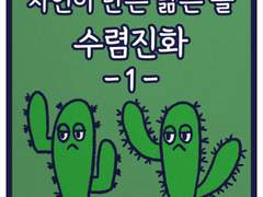 자연이 만든 닮은 꼴, 수렴진화 -1-