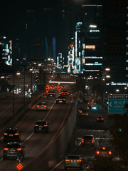 레즈비언이라는 삶