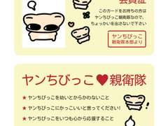 양어린녀석 친위대증