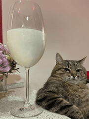 단편 꿍른 모음