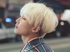 [홍윤] 로벨리아 27 -점심식사