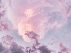 이누즈카 미오 과거