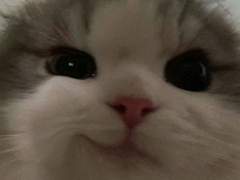 GL소설에 빙의하면 우린 이렇게 살기로 했어요 5