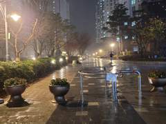 안녕, 하나뿐인 나의 여름아.