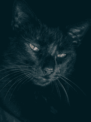 이상한 저승사자