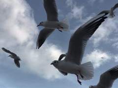 사라지지마 흐려지지마