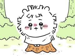 산발머리 치이카와