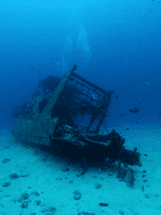 육지인의 심미안