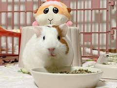 분위기 여신 되는법!