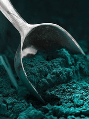 단편 혹은 낙서