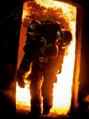 콜마이네임 - 소장용