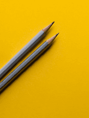 정신나간 공시생