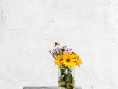 2차 연성 연재 관련 계획.