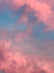 고쓰리 훈련일지 