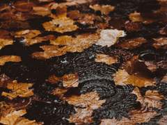 2023.02.24 금요일