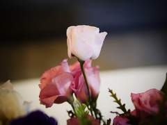 𝕎ALkIN𝔤 DeaD-dANc𝖊R