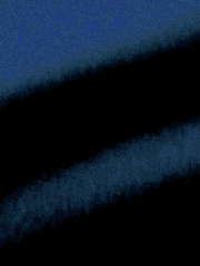 가이드는 되고 싶지 않았는데