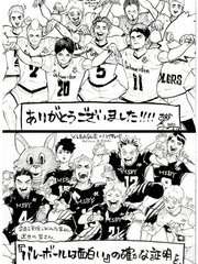 [하이큐] 카피페