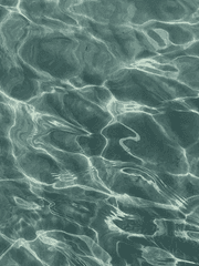 ' 삶 ' 이라는 글에 지친 나를 위한 한마디