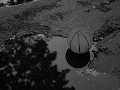 [호열백호] 러트와 청춘의 상관관계 (上)