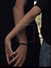 전지적 연애 시점