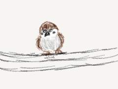 참새+고양이+토끼+뭔가 타는 고양이+빼빼로