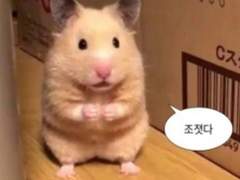 정재현선배한테 여며들게 하는 talk+