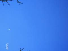 +173, 174, 175, 176, 177 <타인에게 실망한다>라는 말은 성립할 수 있는가?