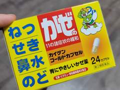 D+3 구약소 → 난바 '빅 카메라'