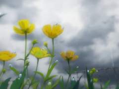 날씨의 소년2 (Weathering with you)