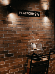 머글학 교수 프랑켄슈타인