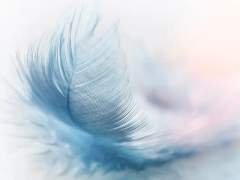 스이츄 그림 백업 1