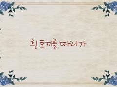 앨리스의 망가진 숲