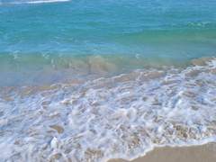 독일쥐의 마요르카 여행기