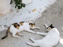 이젠 밤샐 체력이 없다.