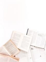 소라 씨의 무근본 역전재판 탐구활동