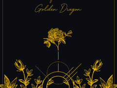 금룡의 꽃 01