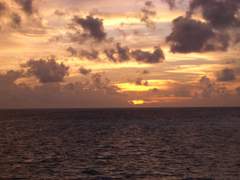 당신의 끝에 낙원이 없다 하더라도