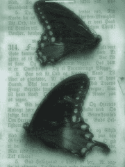 심해 단편 모음집