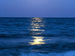 물은 우주가 되어