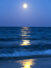 물은 우주가 되어