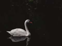 줄곧 잘 참아내다가도