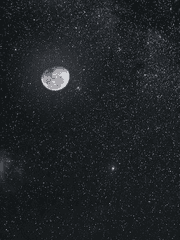 드림주 작중행적 모음