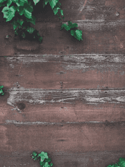 엔시티127 덕질 에세이