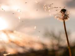 이별 후에도, 내 사랑을 그대에게 드려요.