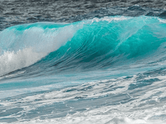 새하얀 파도에게 전하는 편지