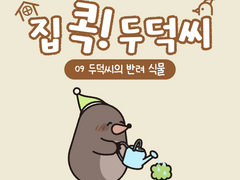 [집 콕! 두덕씨] 09. 두덕씨의 반려식물