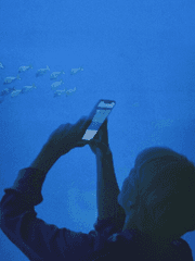 [김정우] 바다를, 항해